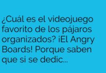 Videojuegos alados y organizados