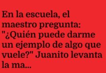 Vuelo fugitivo de las vacaciones