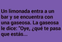 «Amargura y presión en el bar de bebidas»