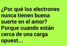 Amores en Circuito Abierto
