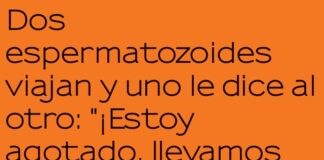 Aventura equivocada de espermatozoides.