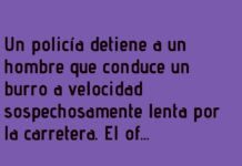 Burrodinámica en Acción: Manual de Tráfico Mejorado