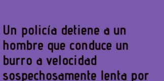 Burrodinámica en Acción: Manual de Tráfico Mejorado