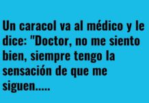 «Caracol con Paranoia»