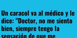 «Caracol con Paranoia»
