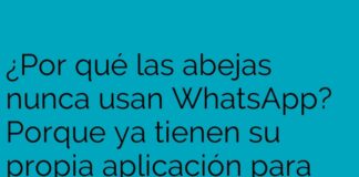 Comunicación Zumbante con Seguridad Puntuda