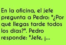 Creatividad Justificativa Puntual