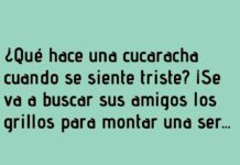 «Cucaracha en Serenata Desafinada»