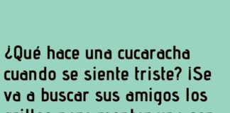 «Cucaracha en Serenata Desafinada»