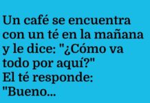 Diálogo entre Bebidas Despiertas