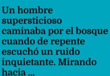 «El cuervo cibernético y el gato negro»
