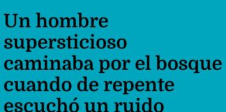 «El cuervo cibernético y el gato negro»