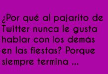 El Dilema del Pajarito Conversador
