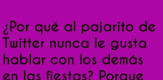 El Dilema del Pajarito Conversador