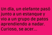 El Elefante y el Truco Pato-másico