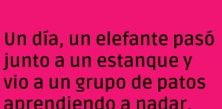 El Elefante y el Truco Pato-másico