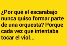 El escarabajo desafinado.