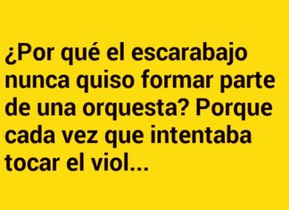 El escarabajo desafinado.