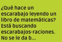 El escarabajo matemático: experto en multiplicar problemas.