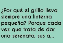 El grillo y su nota luminosa