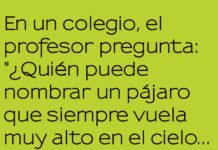 El Jet Lag, el Ave de Altos Vuelos