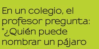 El Jet Lag, el Ave de Altos Vuelos