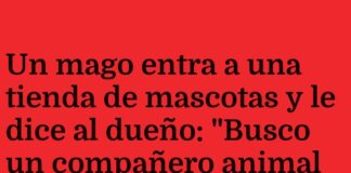 El loro que desafía al mago