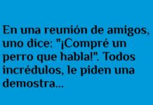 El perro sabe contar chistes malos también