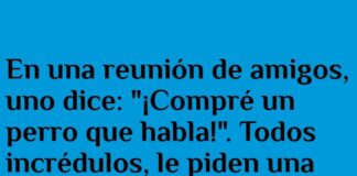 El perro sabe contar chistes malos también