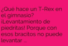 El T-Rex y su rutina de gimnasio: rey del cardio