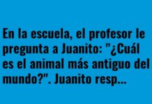 El Zoológico en Blanco y Negro de Juanito