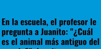El Zoológico en Blanco y Negro de Juanito