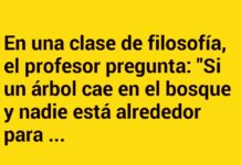 «El Árbol Conexión»