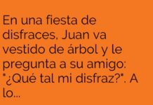 «El árbol más realista de la fiesta»