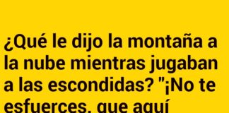 Escondidas en las alturas
