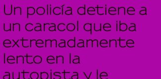 Exceso de Curvas en la Autopista