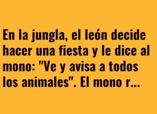 Fiesta en la jungla sin excusas acuáticas