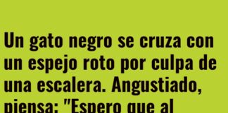 Gato Nero: Siete Vidas y Siete Años de Mala Suerte