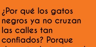 Gatos Negros al Estilo Peatón