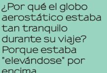 «Globo Aerostático: Serenidad en las Alturas pero con los Pies en la Tierra»