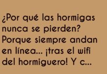 Hormigas Conexionadas: Siempre Online
