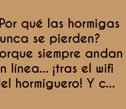 Hormigas Conexionadas: Siempre Online