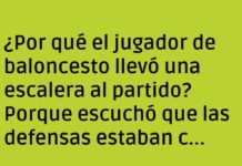 Juego Elevado: ¡Con Peldaños!