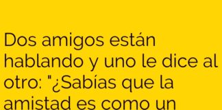 La Amistad y el Café: No Dejes que se Enfríen