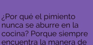 La Aventura Picante del Pimiento Curioso