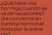 La Hormiga Turista: Aventuras y Picaduras Vacacionales