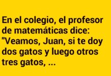 La matemática felina y la alergia de Juan