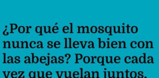 Mosquito y Abeja: El Zumbido Realista