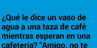 «Nervios de Café y Serenidad de Vaso»