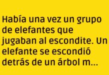 Orejas delatoras en el escondite elefantil